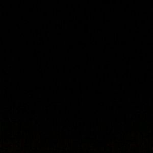 Meet your Posher, Deanna